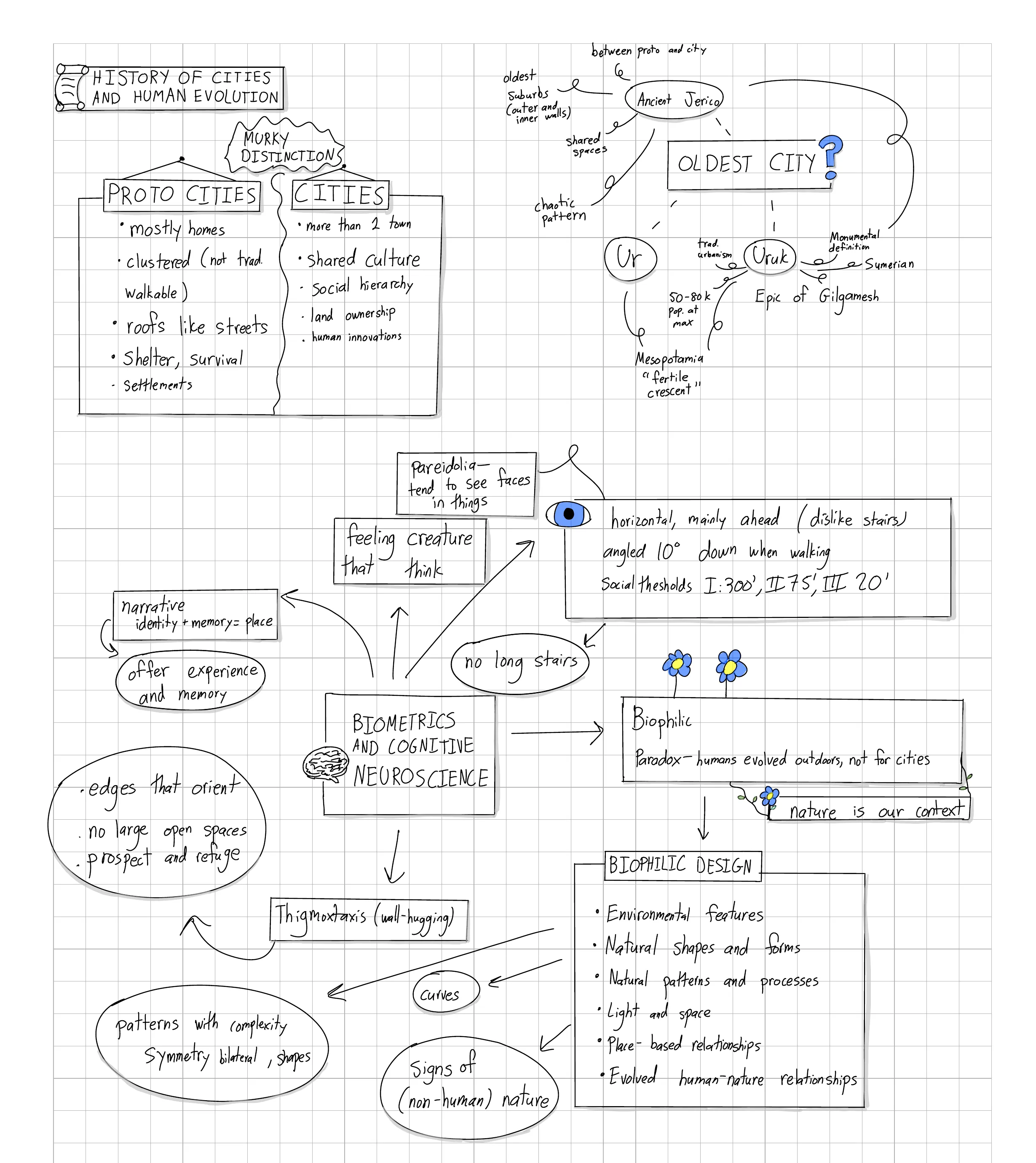 History of cities and human evolution sketchnote